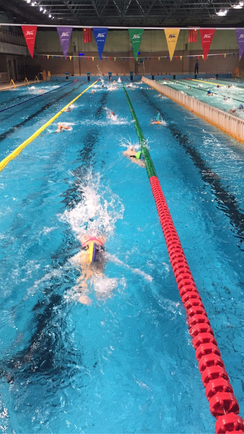 九游网页客户端-游泳联赛上演强强对话，燕赵霹雳队读秒扳平岭东天虎队，团队配合流畅；重拾自信的夜晚的简单介绍